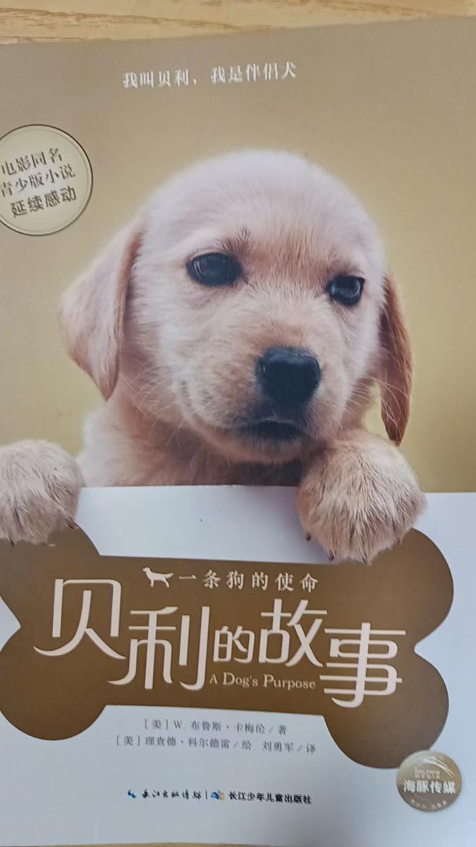 【新】贝利的故事